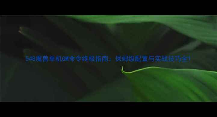 图片 548魔兽单机GM命令终极指南：保姆级配置与实战技巧全1