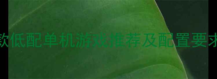 图片 5款低配单机游戏推荐及配置要求2