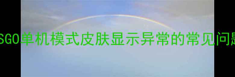 图片 CSGO单机模式皮肤显示异常的常见问题