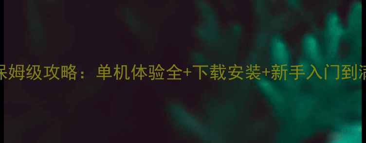图片 DNF单机版保姆级攻略：单机体验全+下载安装+新手入门到满级全流程1
