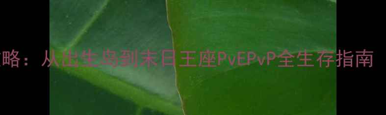 图片 DayZ单机版新手必看攻略：从出生岛到末日王座PvEPvP全生存指南（附武器配置与地图）1