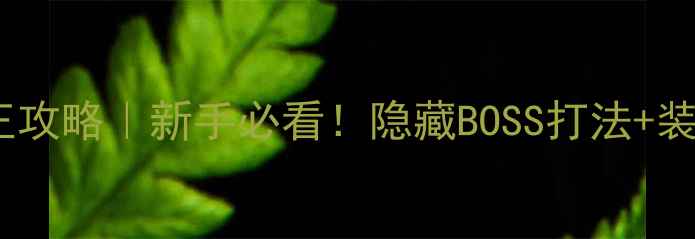 图片 G弦上的魔王攻略｜新手必看！隐藏BOSS打法+装备搭配全🔥