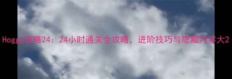 图片 Hoggy攻略24：24小时通关全攻略，进阶技巧与隐藏内容大2