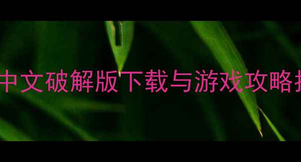 图片 KMPlayer单机版最新中文破解版下载与游戏攻略指南（附安装教程）1