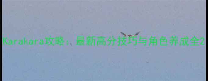 图片 Karakara攻略：最新高分技巧与角色养成全2
