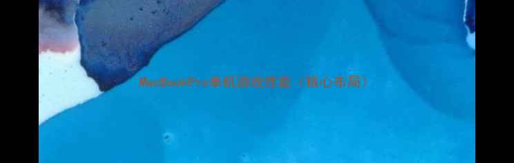 图片 MacBookPro单机游戏性能（核心布局）