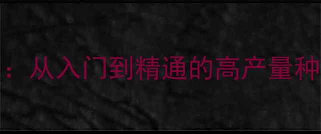 图片 Minecraft种田全攻略：从入门到精通的高产量种植系统与自动化管理1