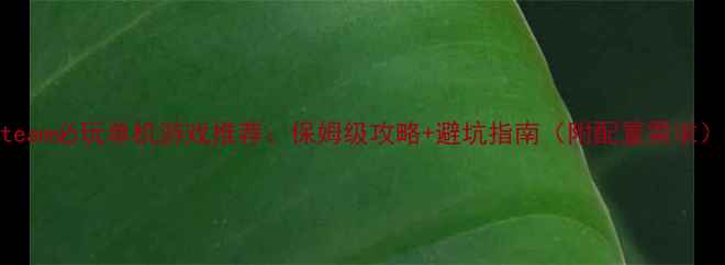 图片 Steam必玩单机游戏推荐：保姆级攻略+避坑指南（附配置需求）2