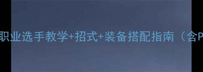 图片 UFCPSP全平台攻略：职业选手教学+招式+装备搭配指南（含PS2PS3PSVita对比）2