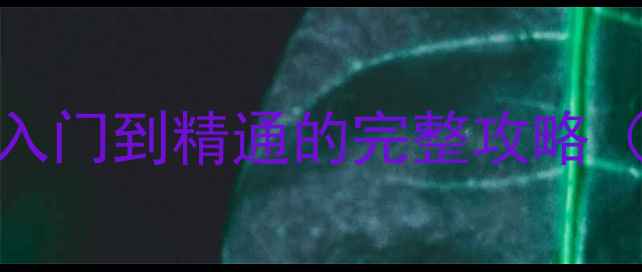 图片 VOI52新手必看！从入门到精通的完整攻略（附最新版本技巧）2