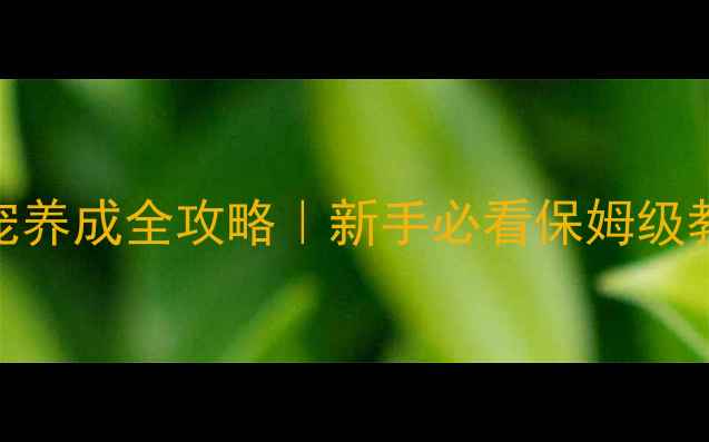 图片 ✨剑侠情缘三长歌门宠养成全攻略｜新手必看保姆级教程+最新门宠测评🌟2