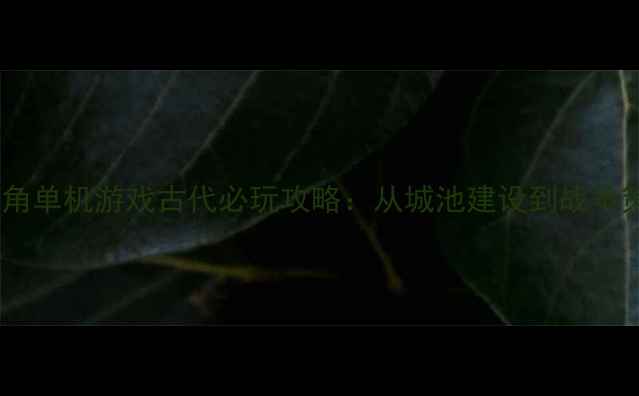 图片 上帝视角单机游戏古代必玩攻略：从城池建设到战争策略全2