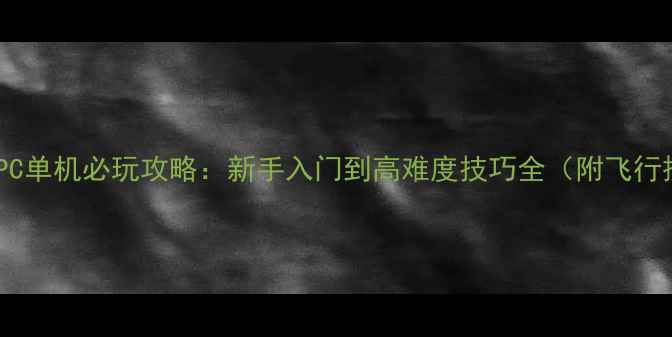图片 不列颠空战PC单机必玩攻略：新手入门到高难度技巧全（附飞行操作教学）1