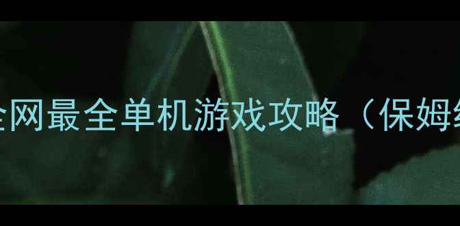 图片 不用网络就能玩！全网最全单机游戏攻略（保姆级教程+避坑指南）2