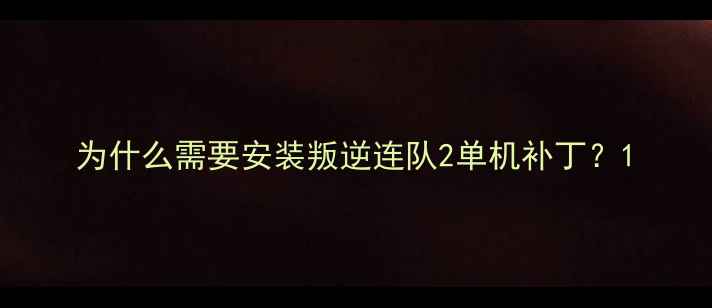 图片 为什么需要安装叛逆连队2单机补丁？1