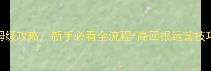 图片 主题公园世界2最新保姆级攻略：新手必看全流程+高回报运营技巧（附免费模组下载）2