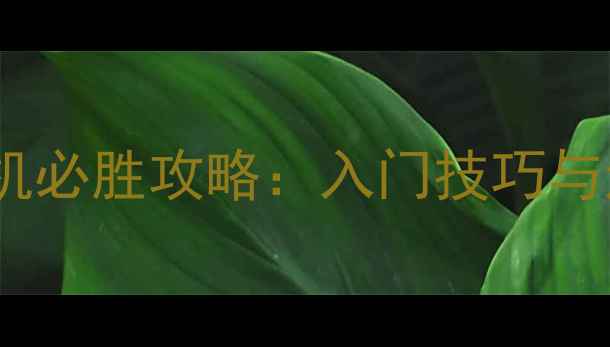 图片 乐清麻将单机必胜攻略：入门技巧与进阶策略全1