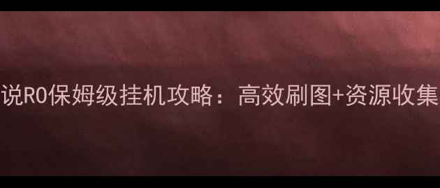 图片 仙境传说RO保姆级挂机攻略：高效刷图+资源收集全指南