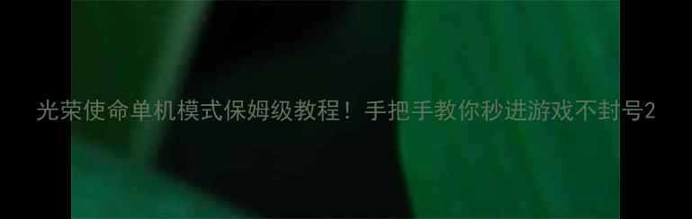 图片 光荣使命单机模式保姆级教程！手把手教你秒进游戏不封号2