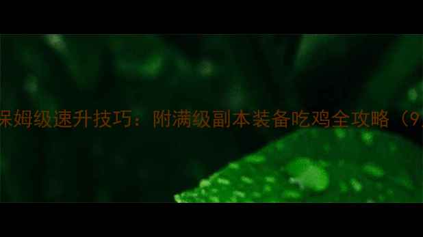 图片 冒险岛90级保姆级速升技巧：附满级副本装备吃鸡全攻略（9月实测版）1