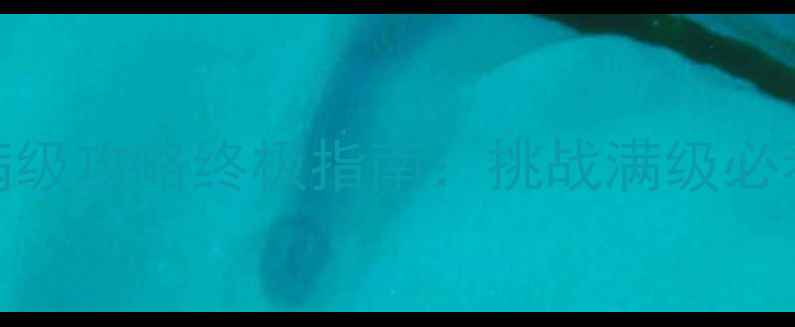 图片 冒险岛单机版130级满级攻略终极指南：挑战满级必看技巧与资源收集全1
