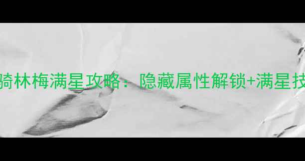 图片 刀锋铁骑林梅满星攻略：隐藏属性解锁+满星技巧全✨