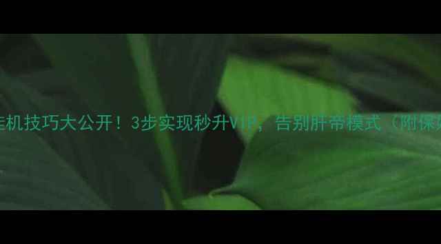 图片 单机传奇挂机技巧大公开！3步实现秒升VIP，告别肝帝模式（附保姆级攻略）