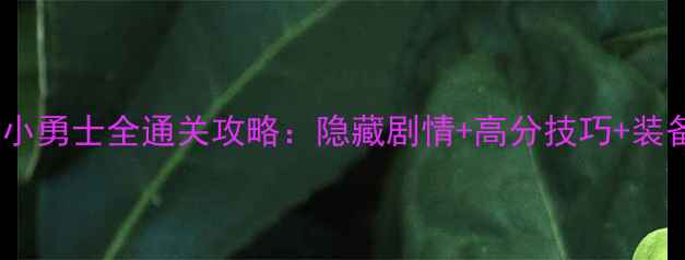 图片 单机幻想小勇士全通关攻略：隐藏剧情+高分技巧+装备搭配全2