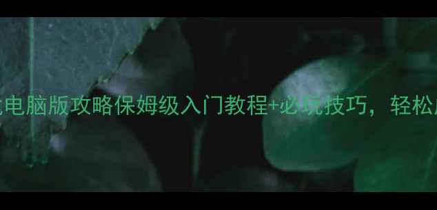 图片 单机棋牌游戏电脑版攻略保姆级入门教程+必玩技巧，轻松成为牌桌王者