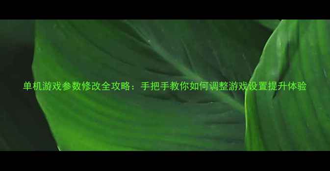 图片 单机游戏参数修改全攻略：手把手教你如何调整游戏设置提升体验