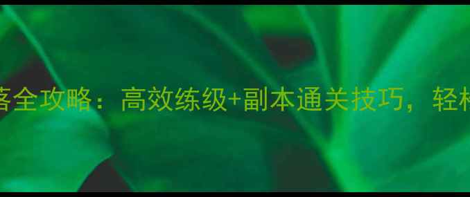 图片 单机游戏装备掉落全攻略：高效练级+副本通关技巧，轻松打造战力巅峰！