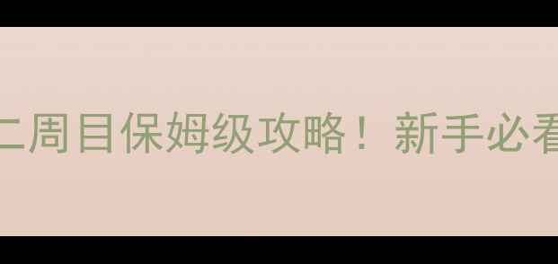 图片 口袋妖怪白2二周目保姆级攻略！新手必看+隐藏要素全