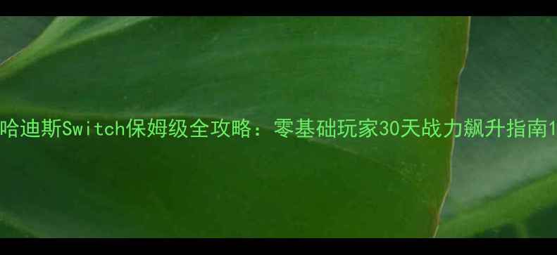 图片 哈迪斯Switch保姆级全攻略：零基础玩家30天战力飙升指南1