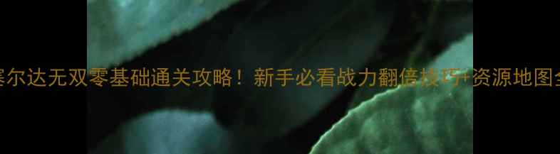 图片 塞尔达无双零基础通关攻略！新手必看战力翻倍技巧+资源地图全