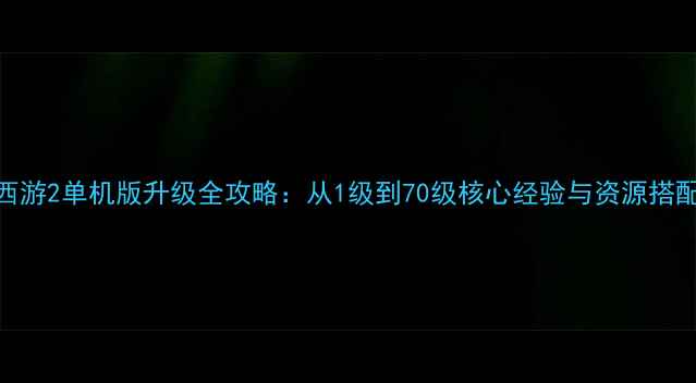 图片 大话西游2单机版升级全攻略：从1级到70级核心经验与资源搭配指南