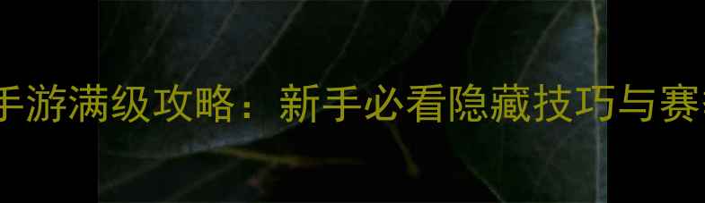 图片 天涯明月刀手游满级攻略：新手必看隐藏技巧与赛季更新指南2