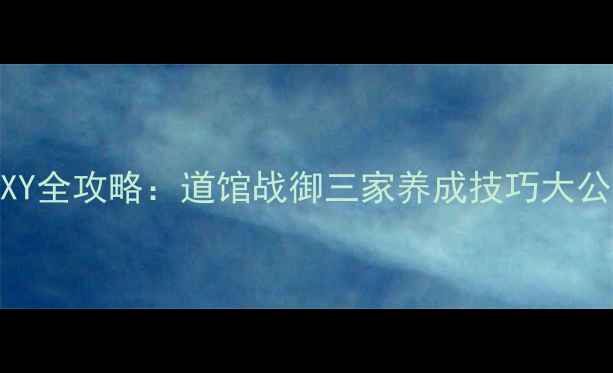 图片 宝可梦漆黑2白2XY全攻略：道馆战御三家养成技巧大公开！保姆级指南