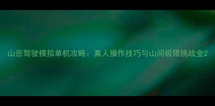 图片 山岳驾驶模拟单机攻略：真人操作技巧与山间极限挑战全2