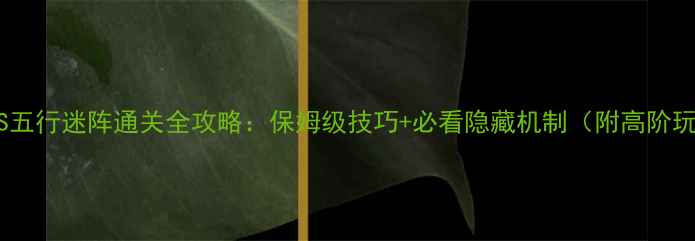 图片 征途2S五行迷阵通关全攻略：保姆级技巧+必看隐藏机制（附高阶玩法）1