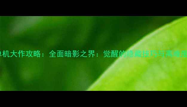 图片 必玩单机大作攻略：全面暗影之界：觉醒的隐藏技巧与高难度挑战2