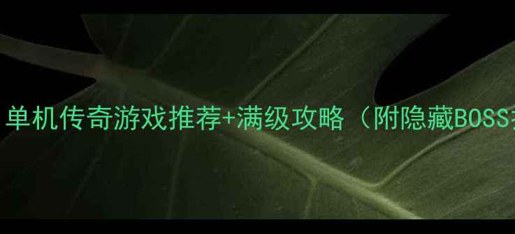 图片 必玩！单机传奇游戏推荐+满级攻略（附隐藏BOSS打法）