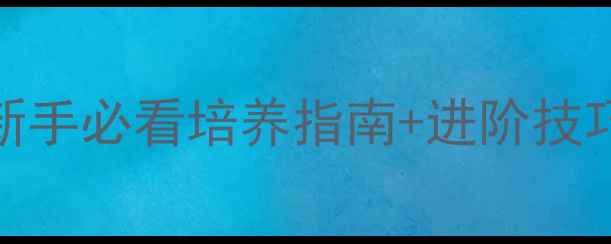 图片 我的魔法宠物全攻略：新手必看培养指南+进阶技巧，轻松成为宠物大师！
