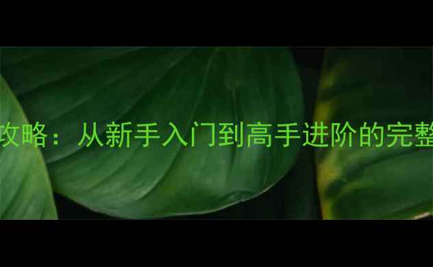 图片 战地Bible单机全流程攻略：从新手入门到高手进阶的完整指南（附资源下载）1