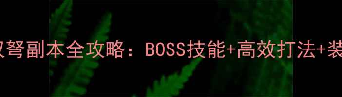 图片 最新世界OL双弩副本全攻略：BOSS技能+高效打法+装备搭配技巧1