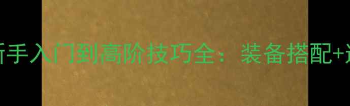 图片 最新全攻略SS搏击俱乐部新手入门到高阶技巧全：装备搭配+连招教学+赛事打法全公开1