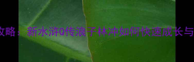 图片 最新全流程攻略：新水浒Q传浪子林冲如何快速成长与社交玩法全1