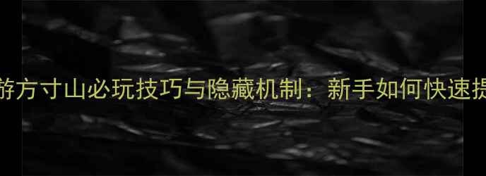 图片 梦幻西游方寸山必玩技巧与隐藏机制：新手如何快速提升修为