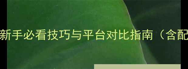 图片 正版单机与PC网游全攻略：新手必看技巧与平台对比指南（含配置需求防坑指南资源推荐）