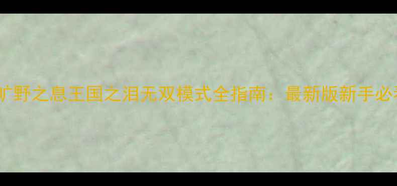 图片 游戏攻略塞尔达传说：旷野之息王国之泪无双模式全指南：最新版新手必看速通技巧与武器搭配1