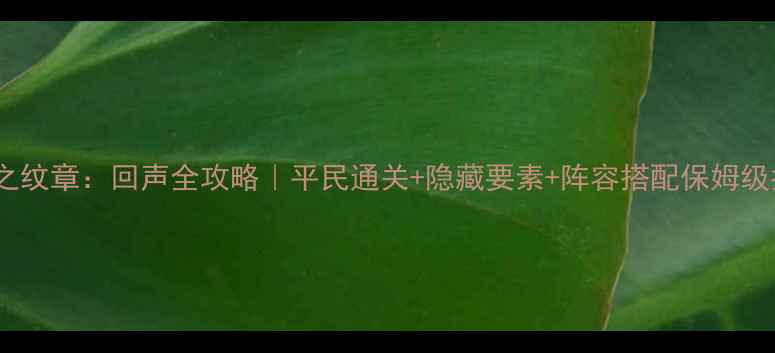 图片 火焰之纹章：回声全攻略｜平民通关+隐藏要素+阵容搭配保姆级指南2